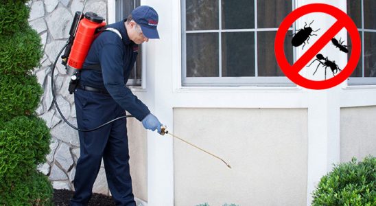 Akkuş Kemirgen İlaçlama böcek ilaçlama ve haşere kontrolü — ilaclama-tr.com